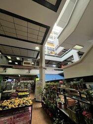 Aljunied Avenue 2 (D14), Shop House #457566471